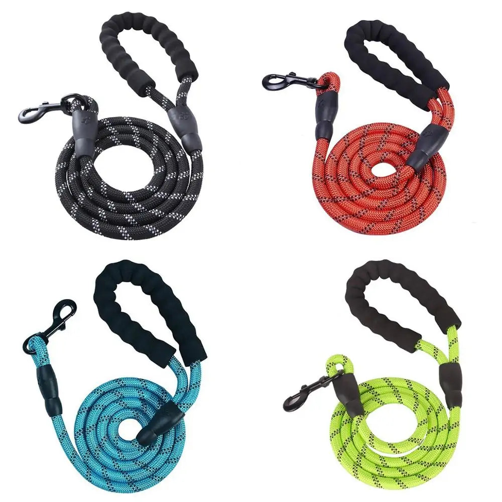 Pet Dog Leash - Perfect for Walking & Training